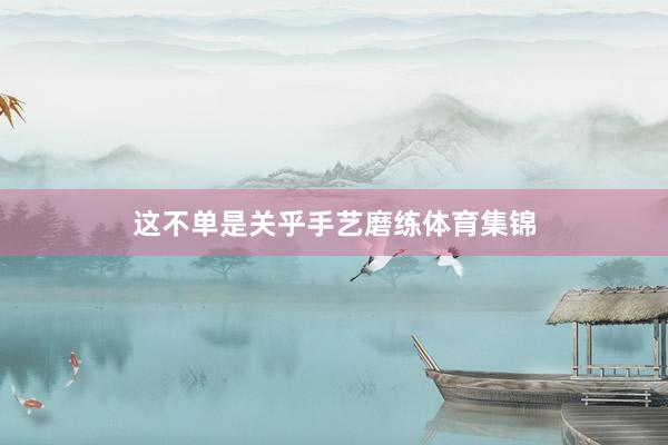 这不单是关乎手艺磨练体育集锦