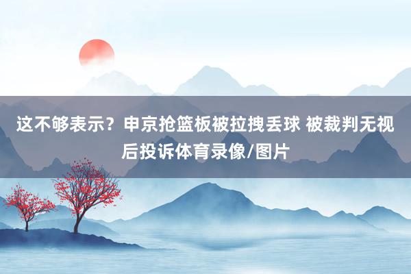 这不够表示？申京抢篮板被拉拽丢球 被裁判无视后投诉体育录像/图片
