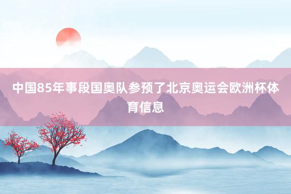 中国85年事段国奥队参预了北京奥运会欧洲杯体育信息