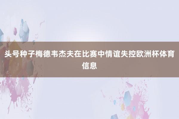 头号种子梅德韦杰夫在比赛中情谊失控欧洲杯体育信息
