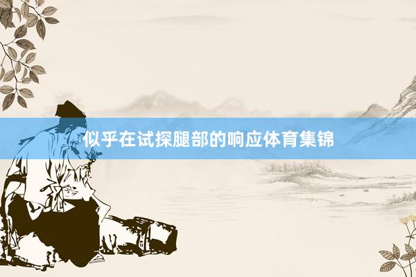 似乎在试探腿部的响应体育集锦
