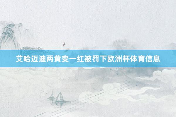 艾哈迈迪两黄变一红被罚下欧洲杯体育信息
