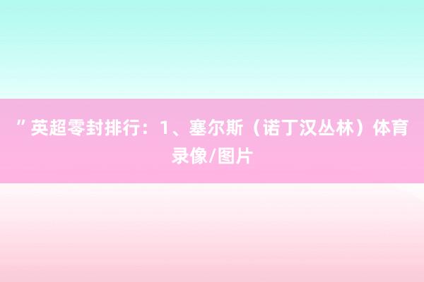 ”英超零封排行：1、塞尔斯（诺丁汉丛林）体育录像/图片